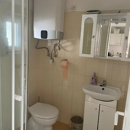 Levendula Vendeghaz Hajdúnánás