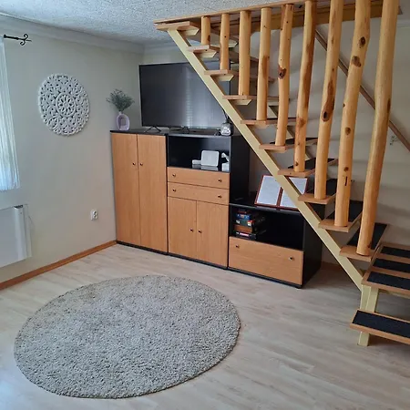 Levendula Vendeghaz Hajdúnánás