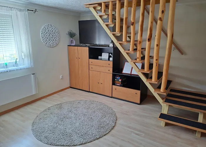 Levendula Vendeghaz Hajdúnánás